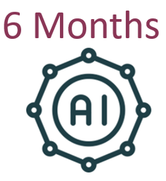 Artificial Intelligence Courses Subscription (6 months)